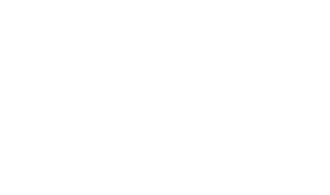 Narejo Inc.